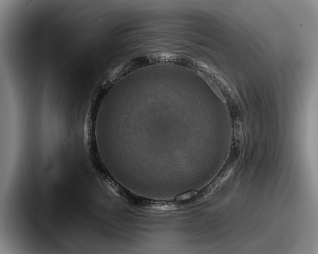 X0000087710760200705111421