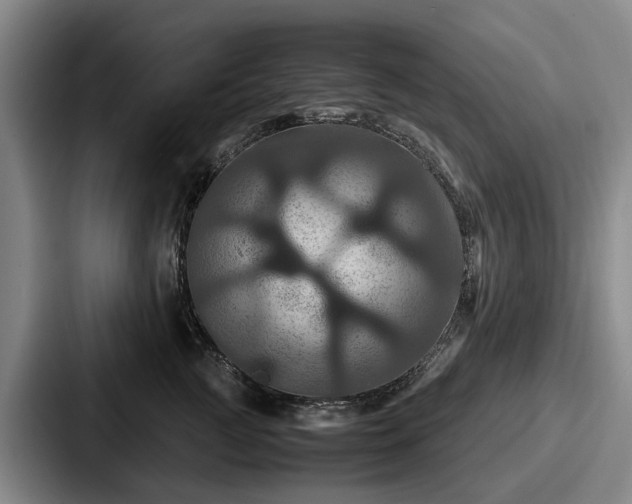 X0000087710761200705111421