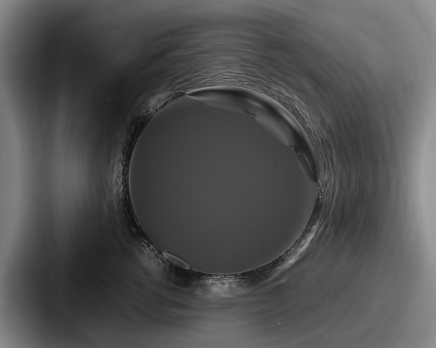 X0000087710762200705111421