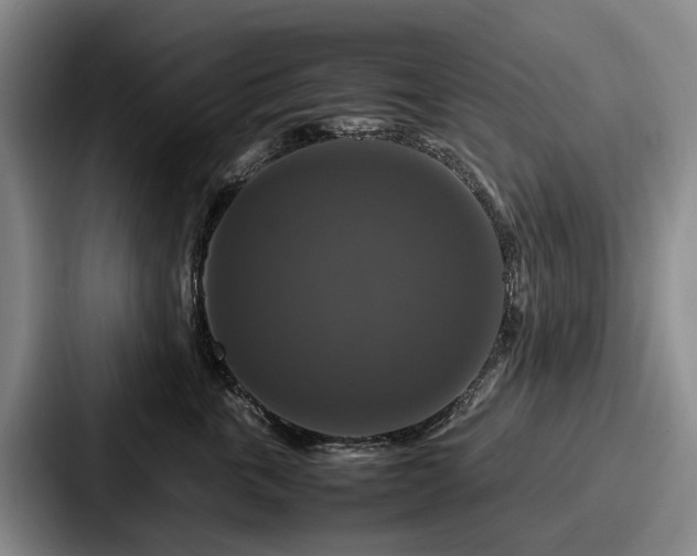 X0000087710763200705111421
