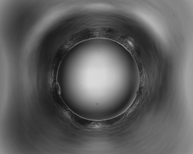 X0000087710764200705111421