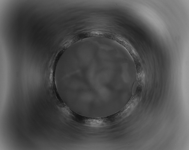X0000087710765200705111421