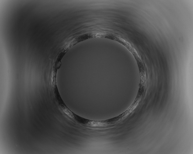 X0000087710766200705111421
