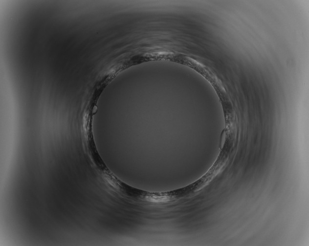X0000087710767200705111421