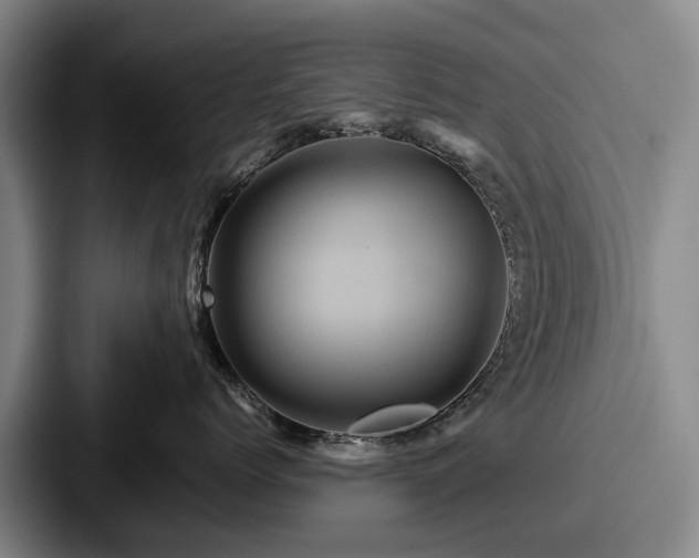 X0000087710768200705111421