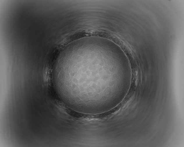 X0000087710770200705111420