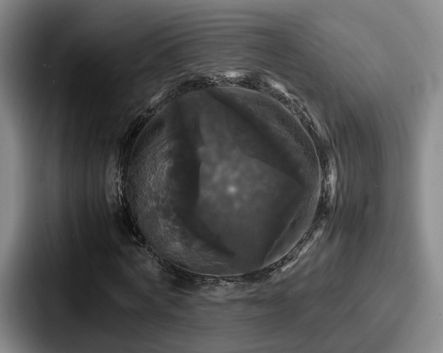 X0000087710772200705111420