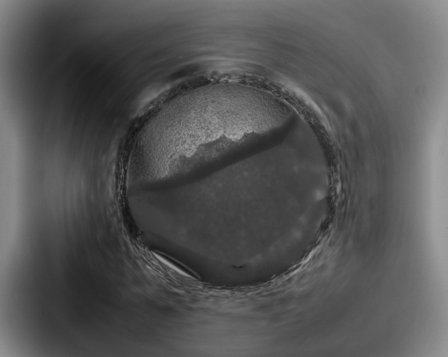 X0000087710775200705111420