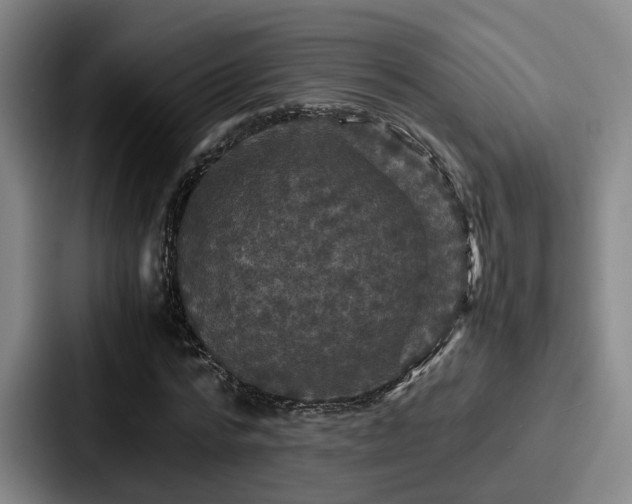 X0000087710776200705111420