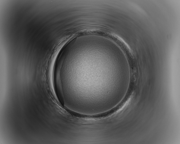 X0000087710777200705111420