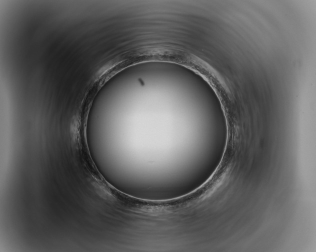 X0000087710778200705111420