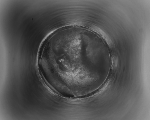 X0000087710780200705111420