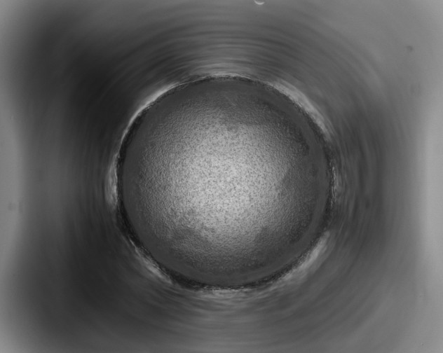 X0000087710782200705111420