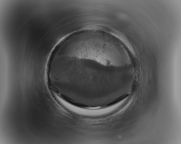 X0000087710783200705111420