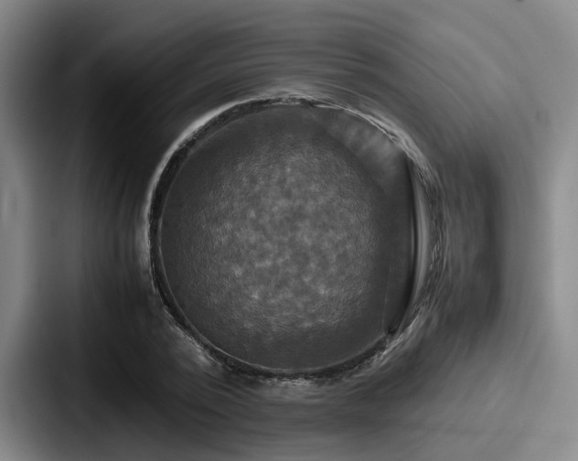 X0000087710784200705111420