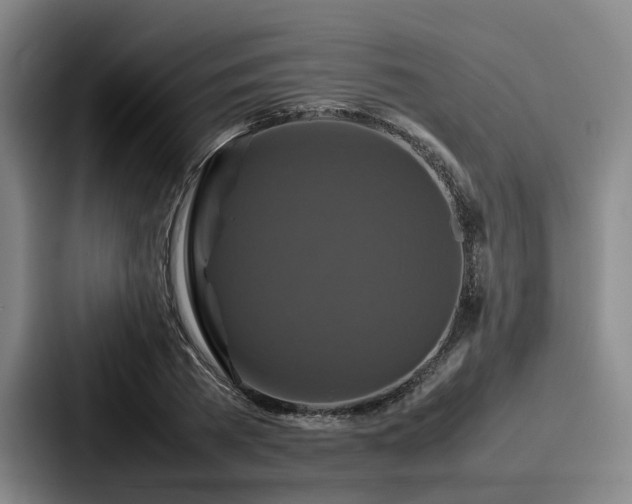 X0000087710785200705111420