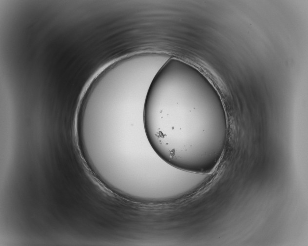X0000087710788200705111420