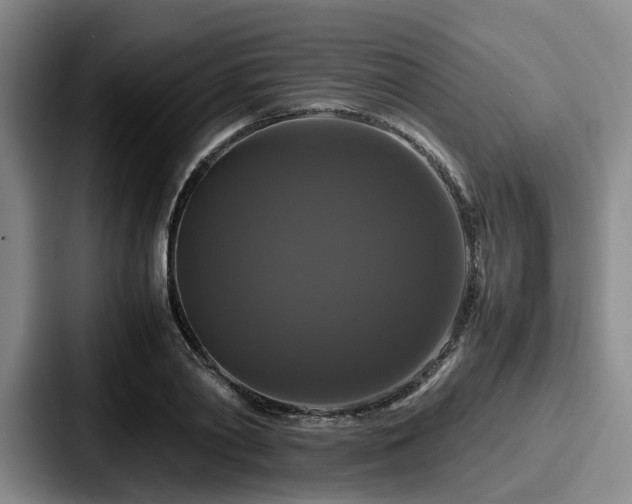 X0000087710790200705111420