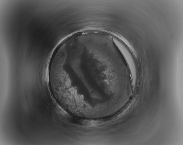 X0000087710791200705111420