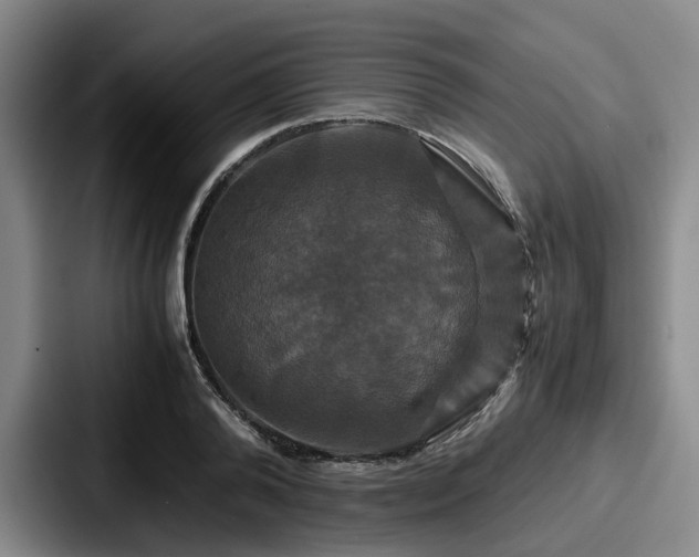 X0000087710792200705111420