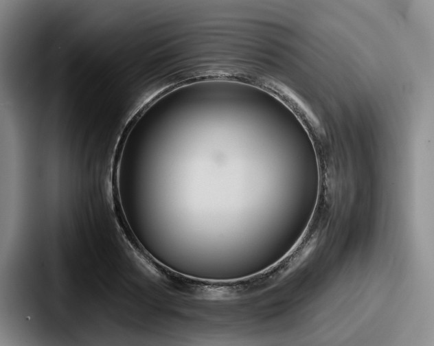 X0000087710794200705111420