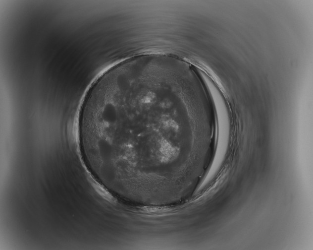 X0000087710795200705111420