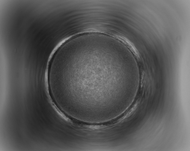 X0000087710796200705111420