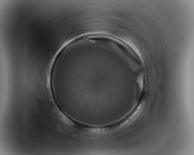 X0000087710797200705111420