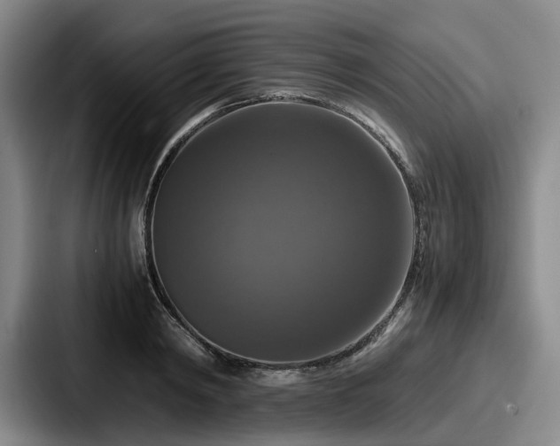 X0000087710798200705111420