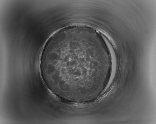 X0000087710799200705111420