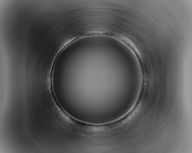 X0000087710802200705111420