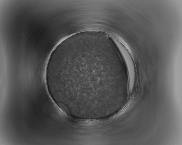 X0000087710803200705111420