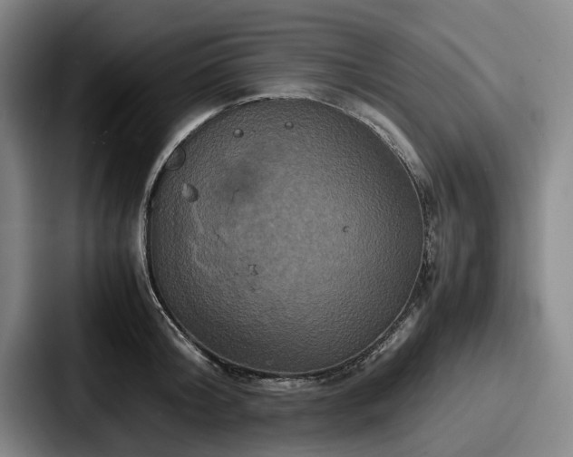 X0000087710804200705111420