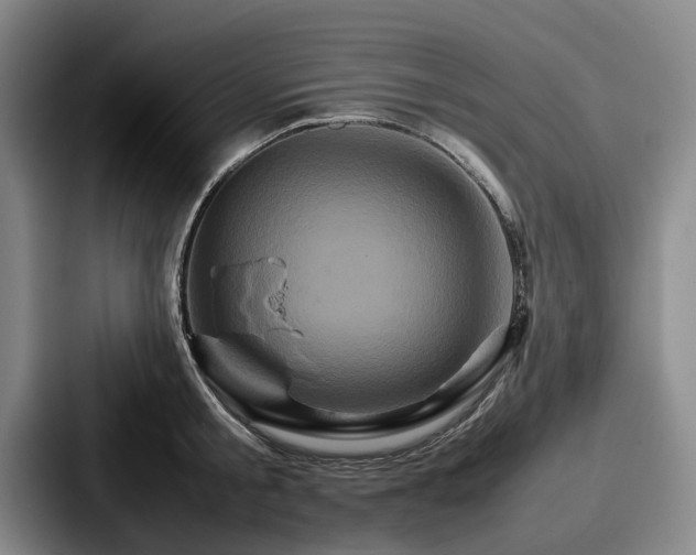 X0000087710805200705111420