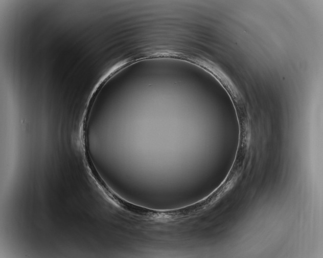 X0000087710806200705111420