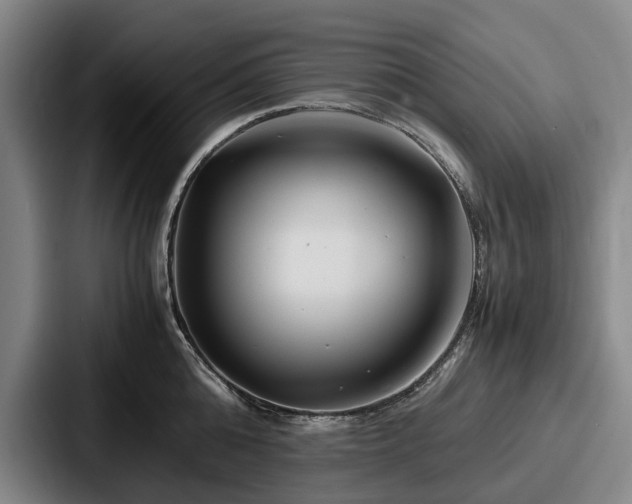 X0000087710808200705111420