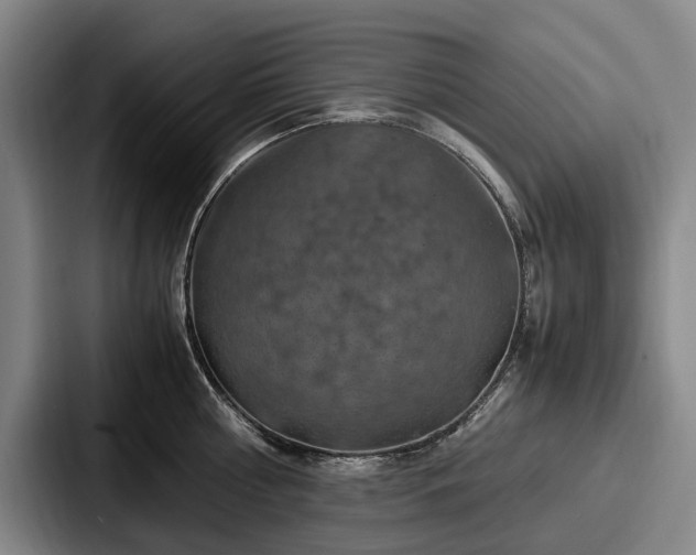 X0000087710810200705111420