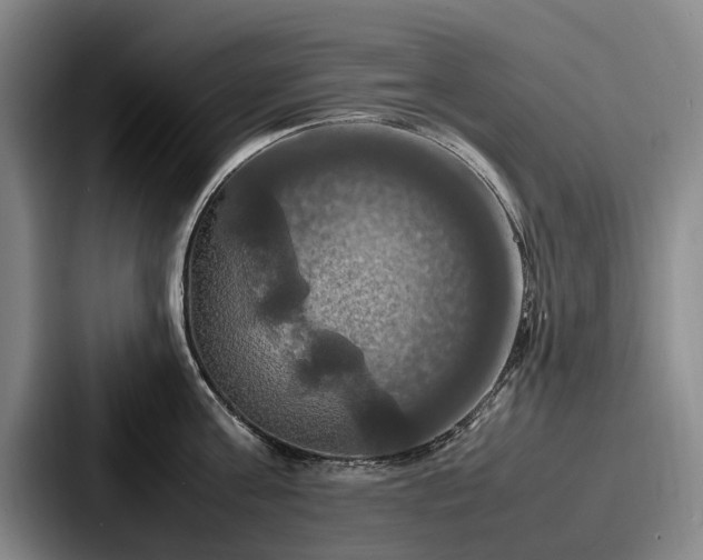 X0000087710811200705111420