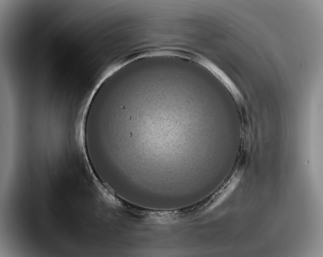 X0000087710813200705111420
