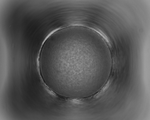 X0000087710814200705111420