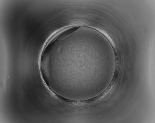 X0000087710815200705111420