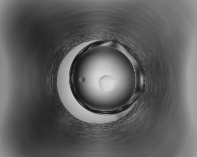 X0000087710818200705111419