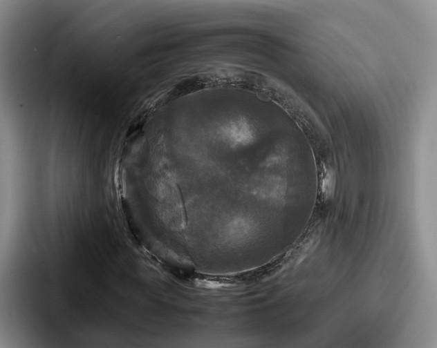 X0000087710819200705111419