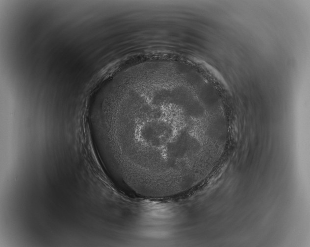 X0000087710821200705111419