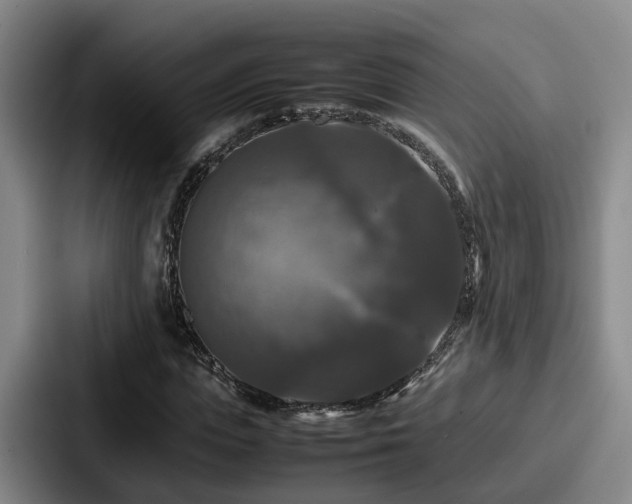 X0000087710823200705111419