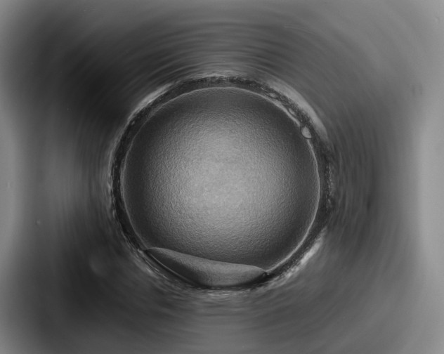 X0000087710826200705111419