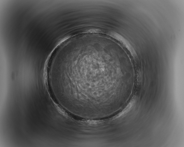 X0000087710827200705111419