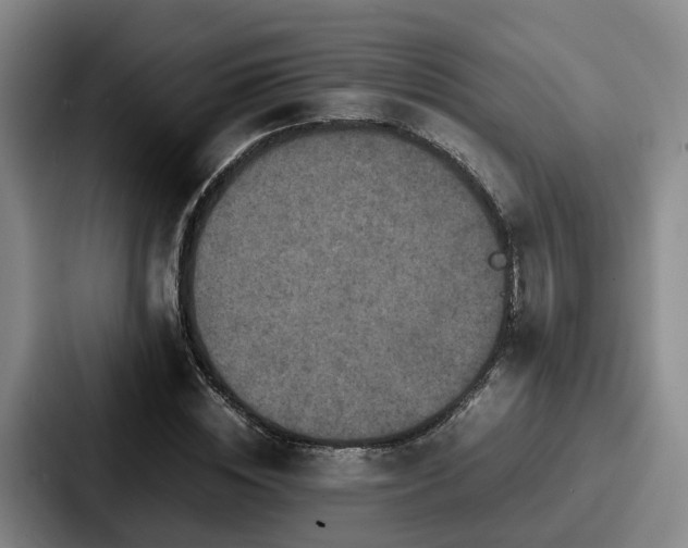 X0000087710828200705111419