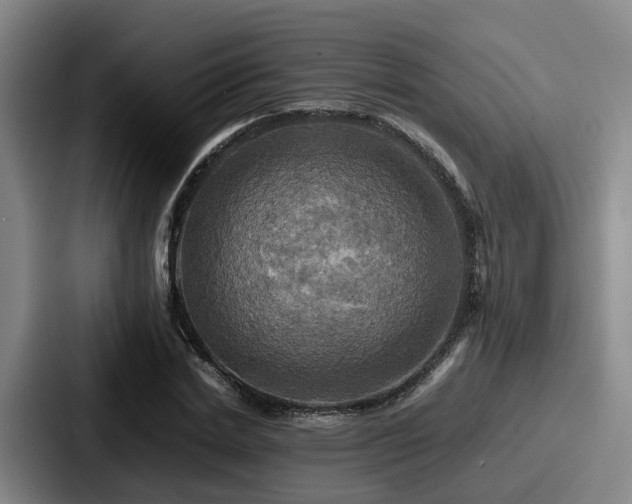 X0000087710830200705111419