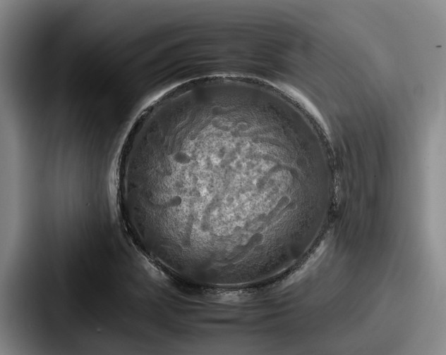 X0000087710831200705111419
